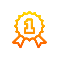 SEO Optimization Company in Chandigarh