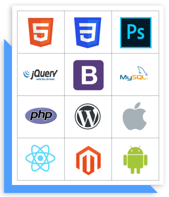 SEO Optimization Company in Chandigarh